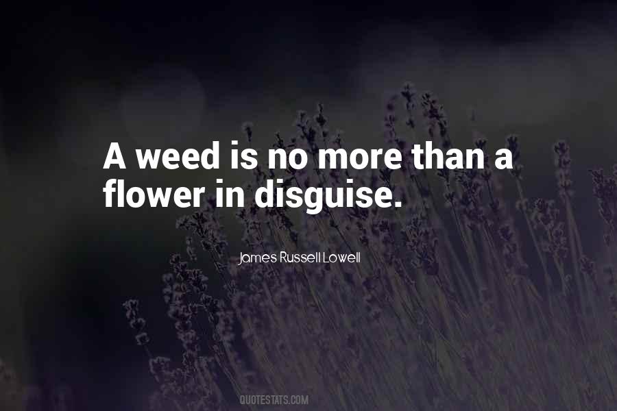 Quotes About A Weed #770922