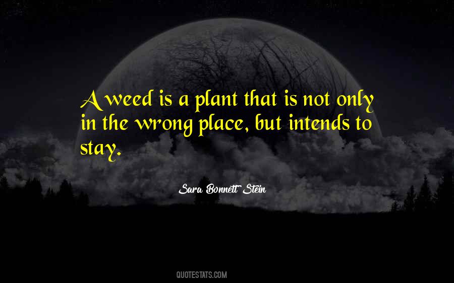 Quotes About A Weed #782523