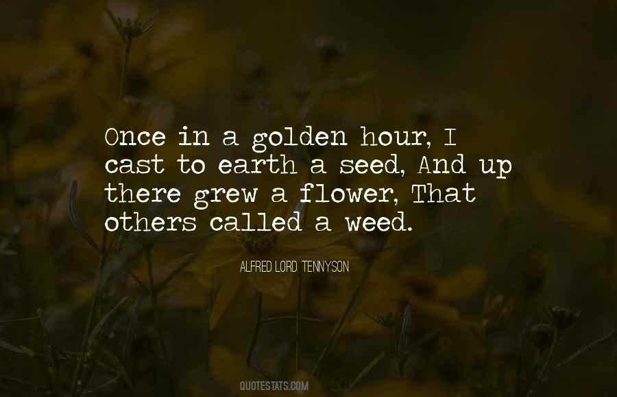Quotes About A Weed #806528