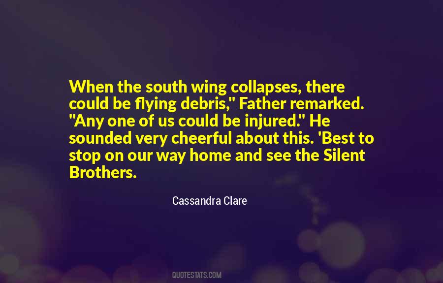 Quotes About Flying Home #911992