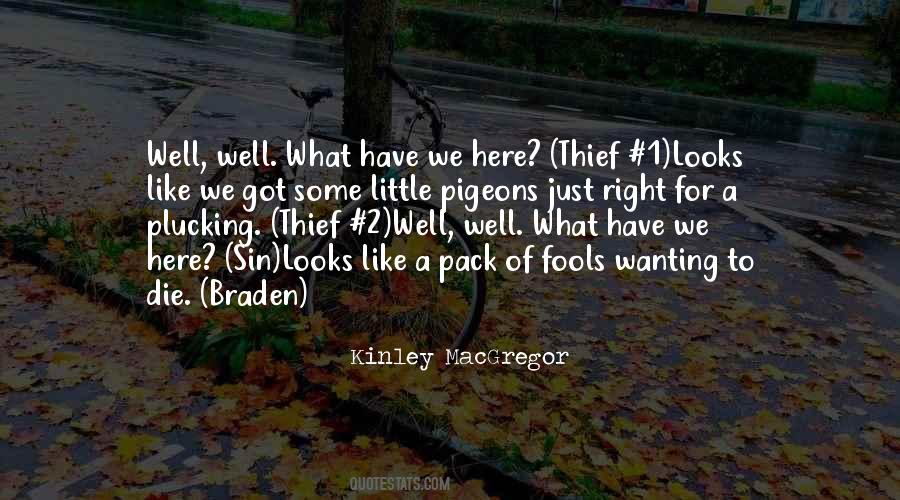 Quotes About Fools #1768908