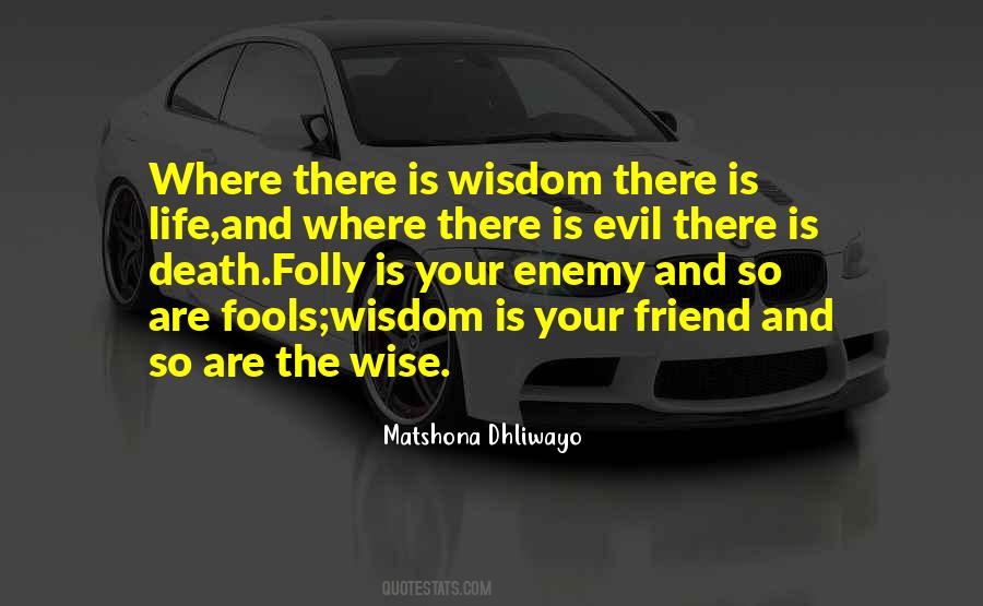 Quotes About Fools #1773433
