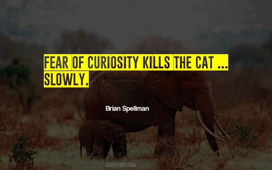 Quotes About Curiosity Killed The Cat #1406182