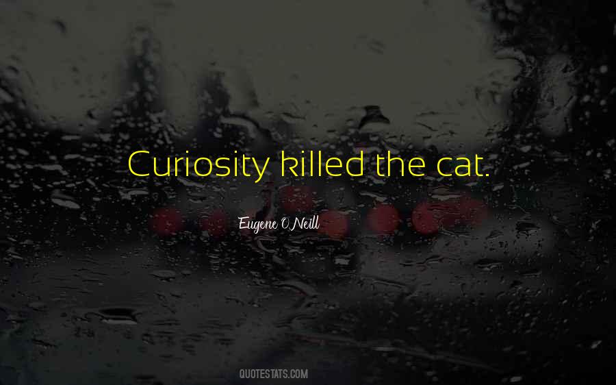 Quotes About Curiosity Killed The Cat #304272