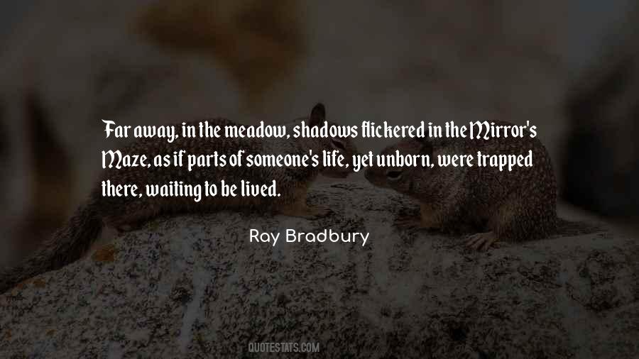 Quotes About Shadows Of Life #1052419