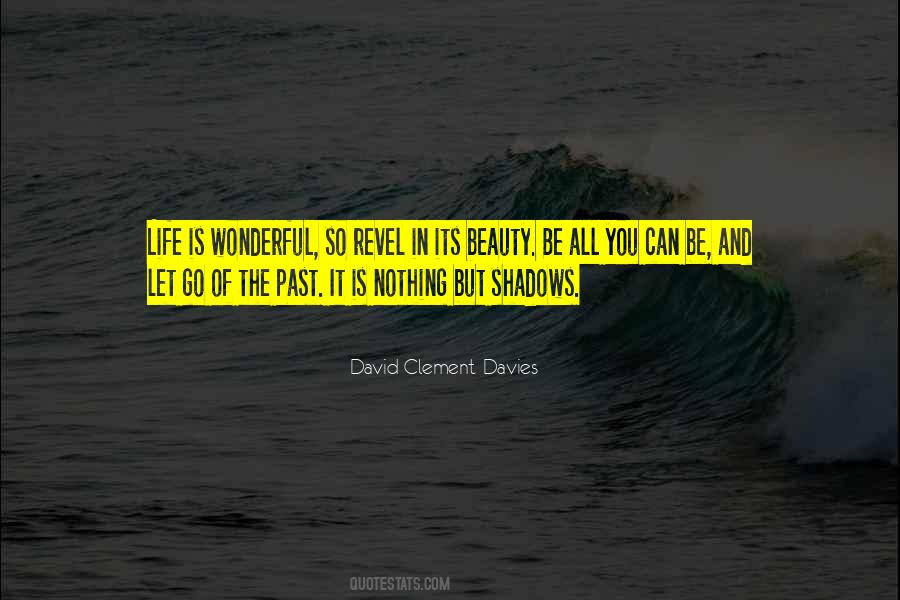 Quotes About Shadows Of Life #726252