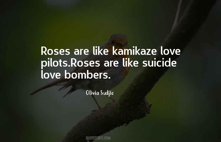 Quotes About Kamikaze Pilots #1765382