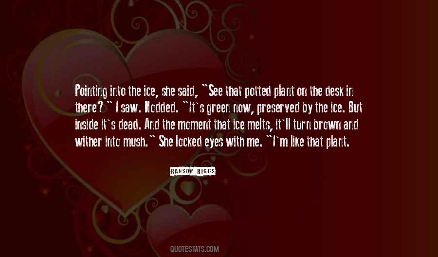 Our Eyes Locked Quotes #477049