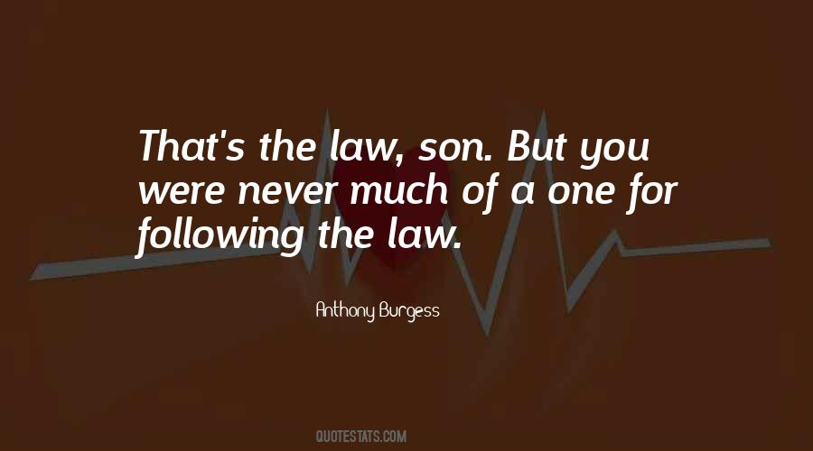 Quotes About A Son In Law #1075777