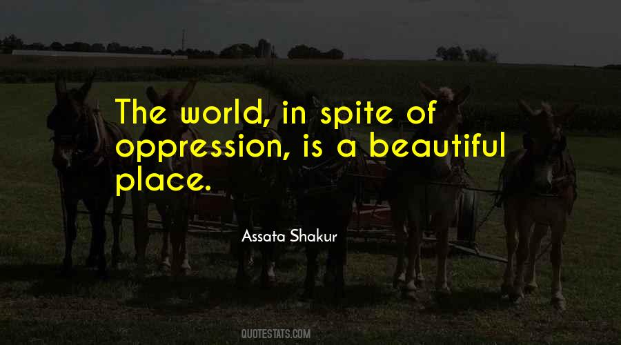 Quotes About A Beautiful Place #714071
