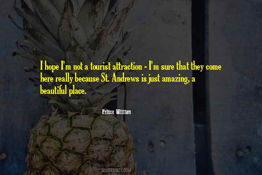 Quotes About A Beautiful Place #764617
