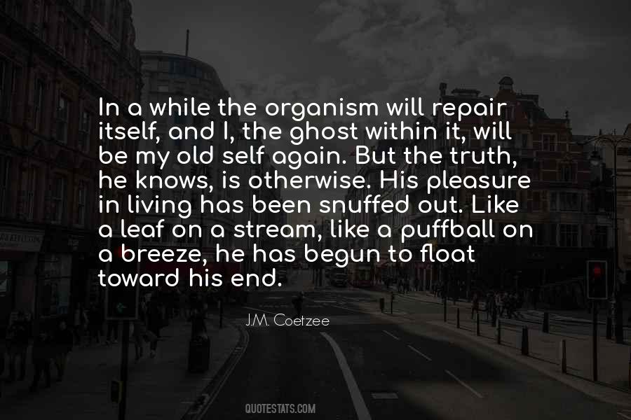 My Old Quotes #966890