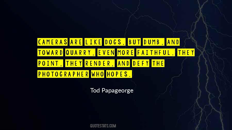 Quotes About Faithful Dogs #653383