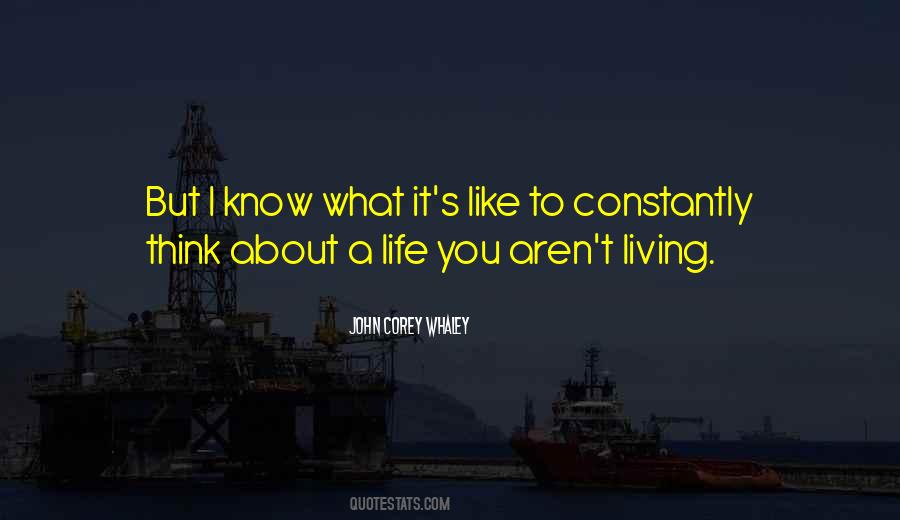 772 Love Quotes #271924
