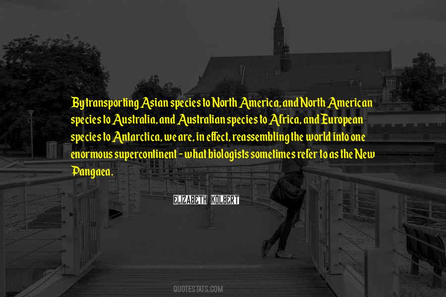 Quotes About North Africa #129205
