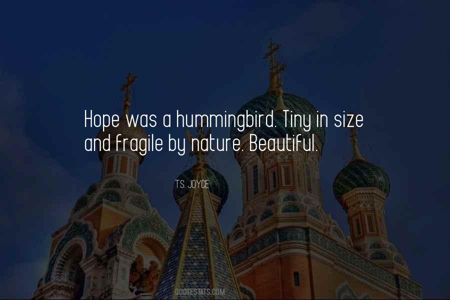 A Hummingbird Quotes #780952