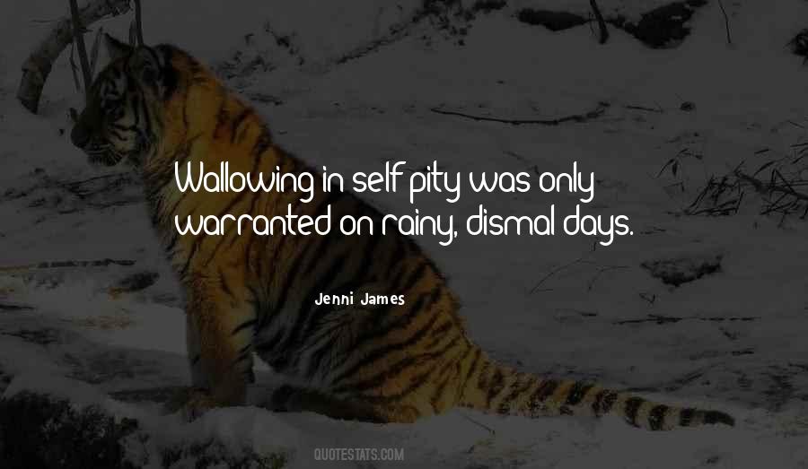 Quotes About Wallowing In Self Pity #1065634