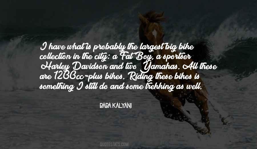 Quotes About Riding A Harley Davidson #428342