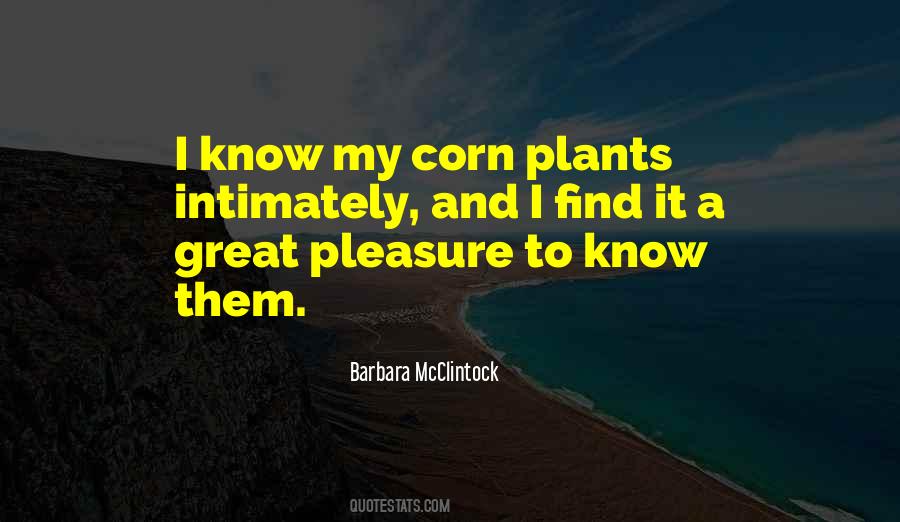 Quotes About Corn #1133636