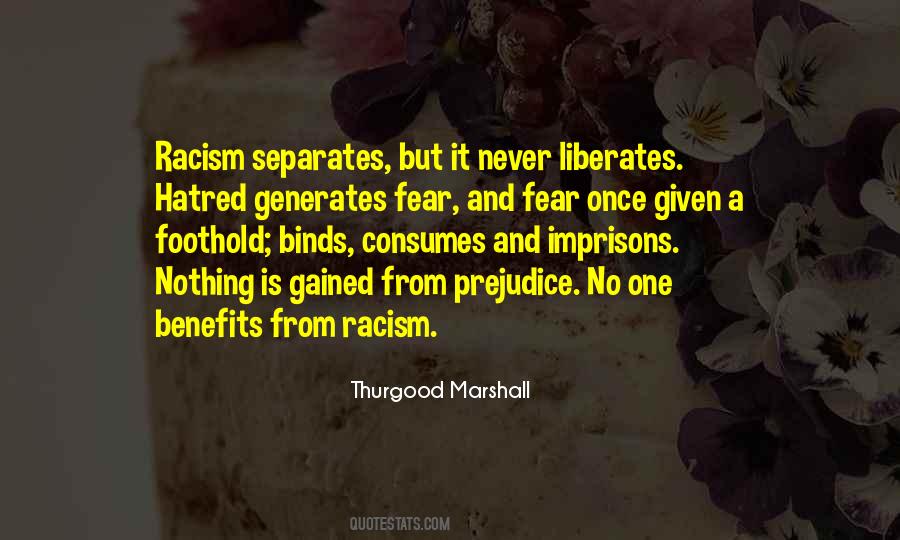 Quotes About Hatred And Racism #1866210