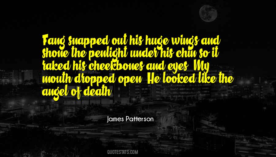 Quotes About Angel Wings #1461947