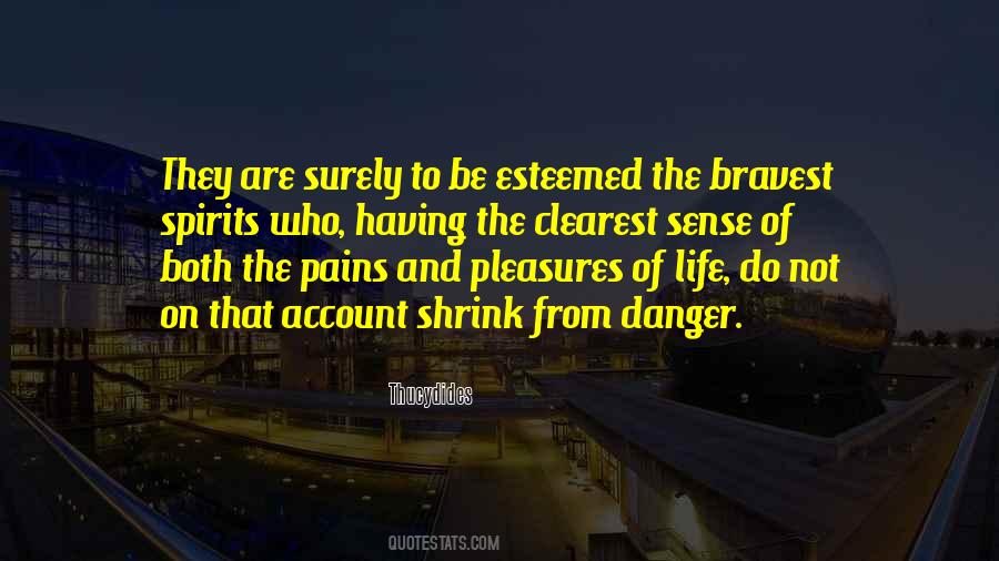 Pains And Pleasures Quotes #1294217