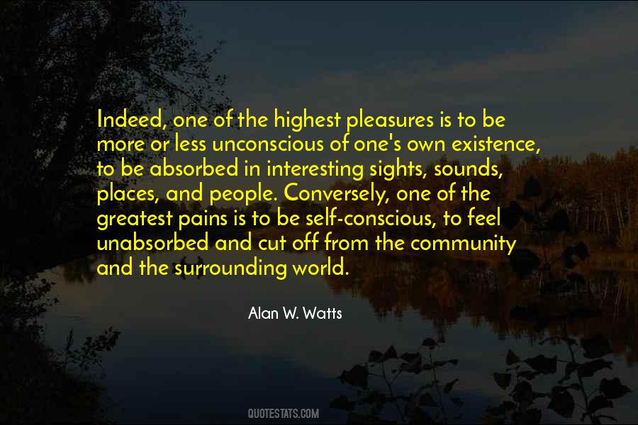 Pains And Pleasures Quotes #420933