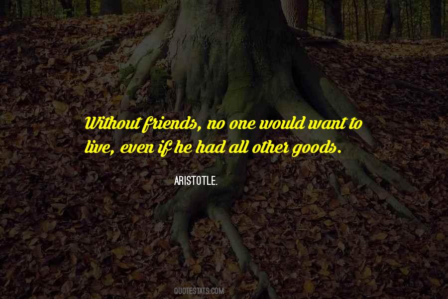 Quotes About Without Friends #1315852