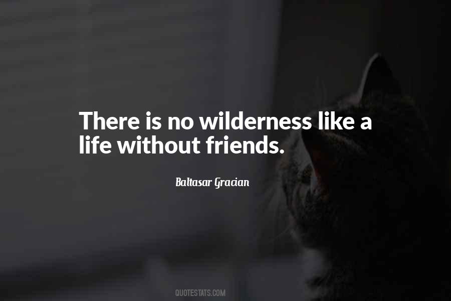 Quotes About Without Friends #863603