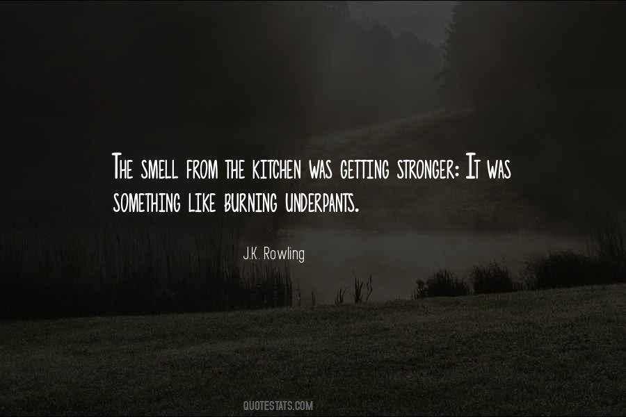 Quotes About Getting Stronger #1836027