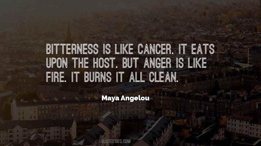 Anger Is Like Fire Quotes #1544813