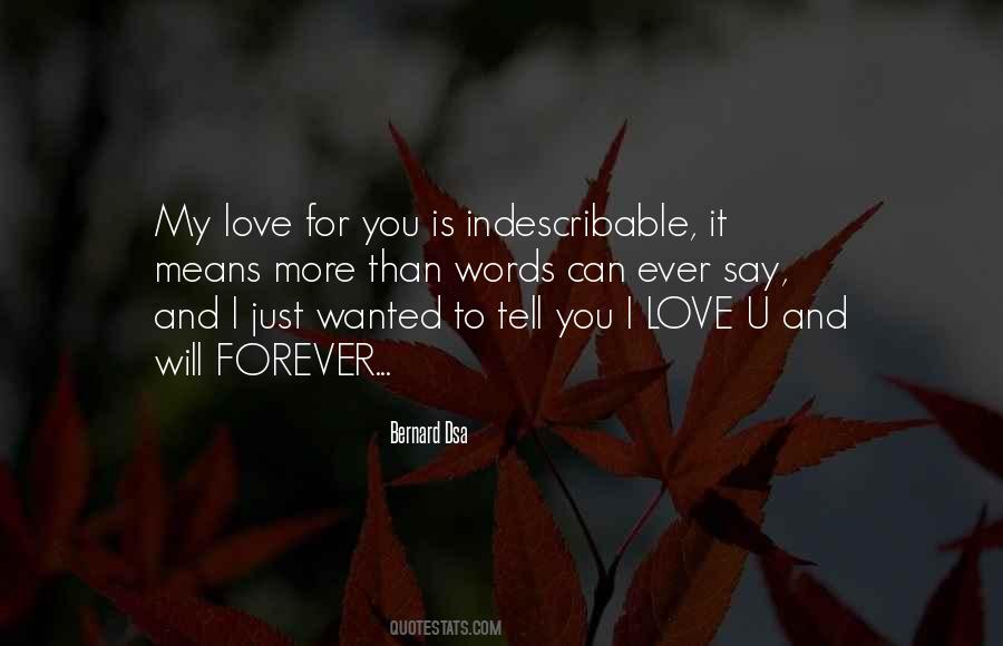 Quotes About Indescribable Love #49376