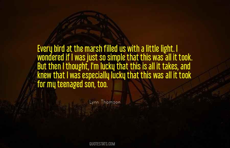Quotes About Birdwatching #867397