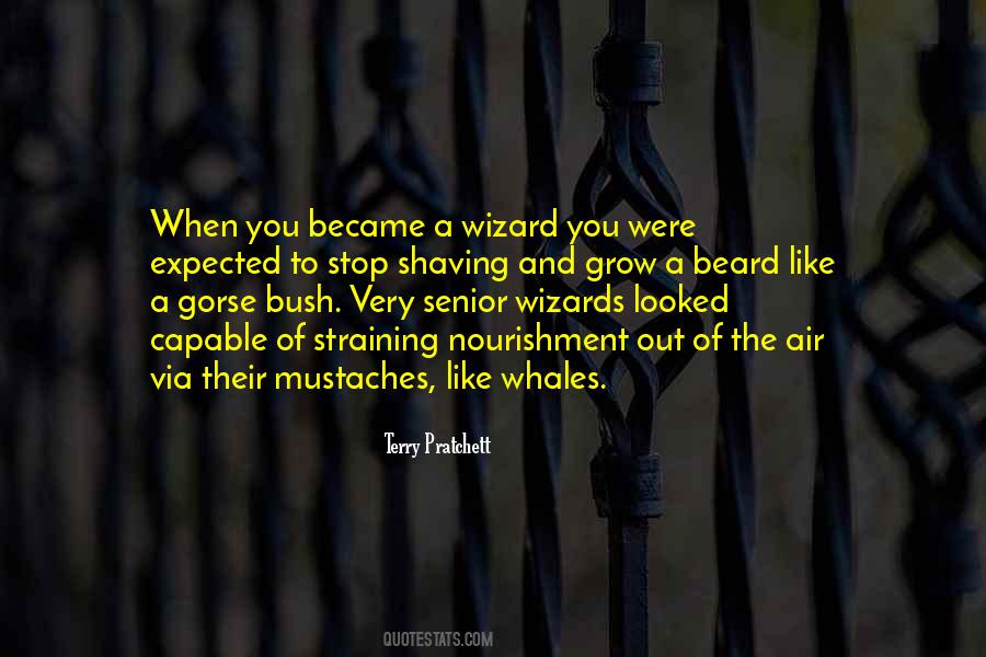 Quotes About Wizards #1625425