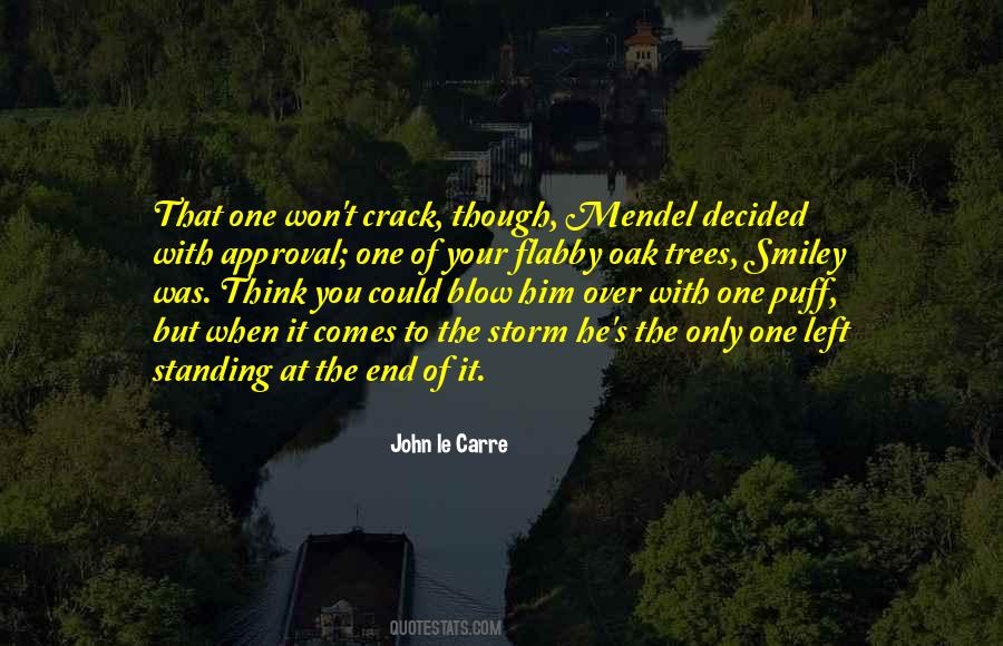 Quotes About Mendel #11072