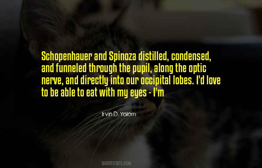 Quotes About Spinoza #22669