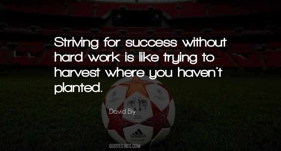 Success Is Hard Work Quotes #47181