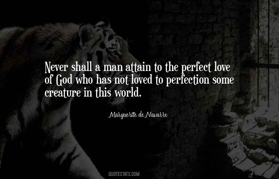 Quotes About Not Perfect Love #364166