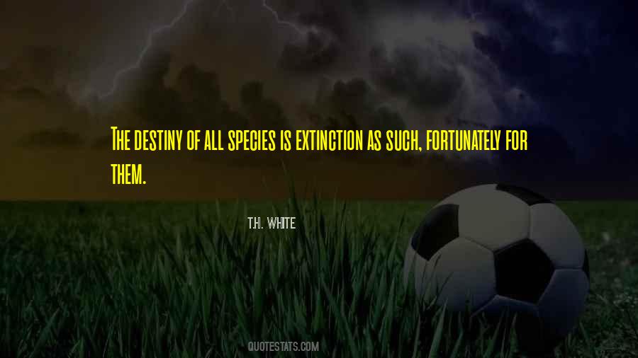 Quotes About Extinction Of Species #1681588