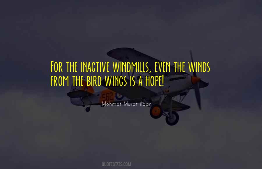 Quotes About Windmills #1612433