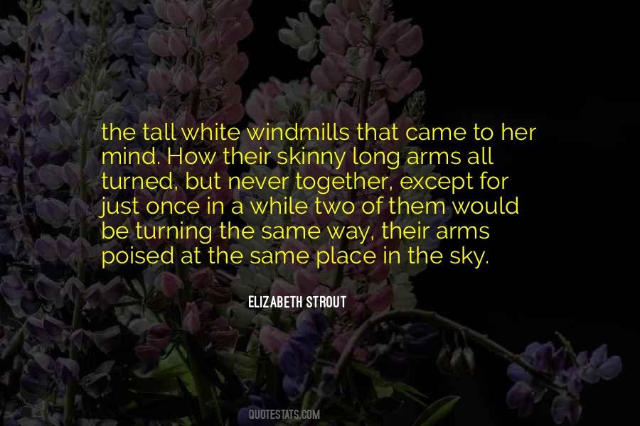 Quotes About Windmills #758625