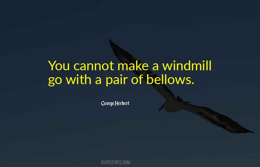 Quotes About Windmills #807193