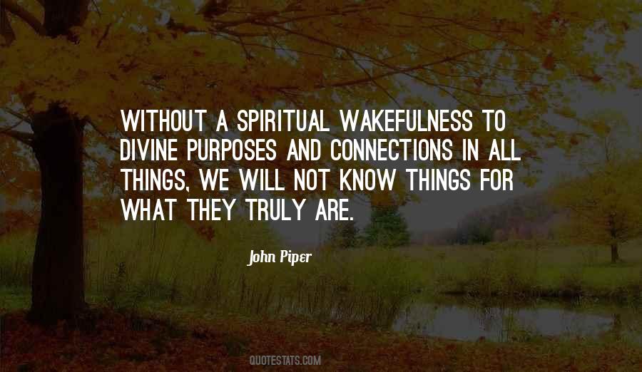 Spiritual Connections Quotes #1566476