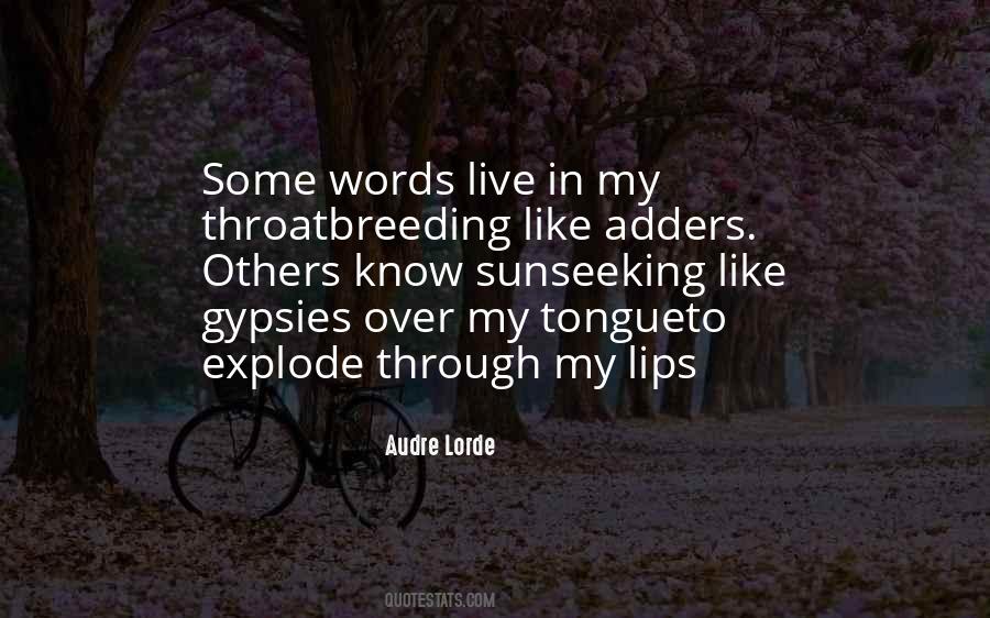 Quotes About Seeking #1573443