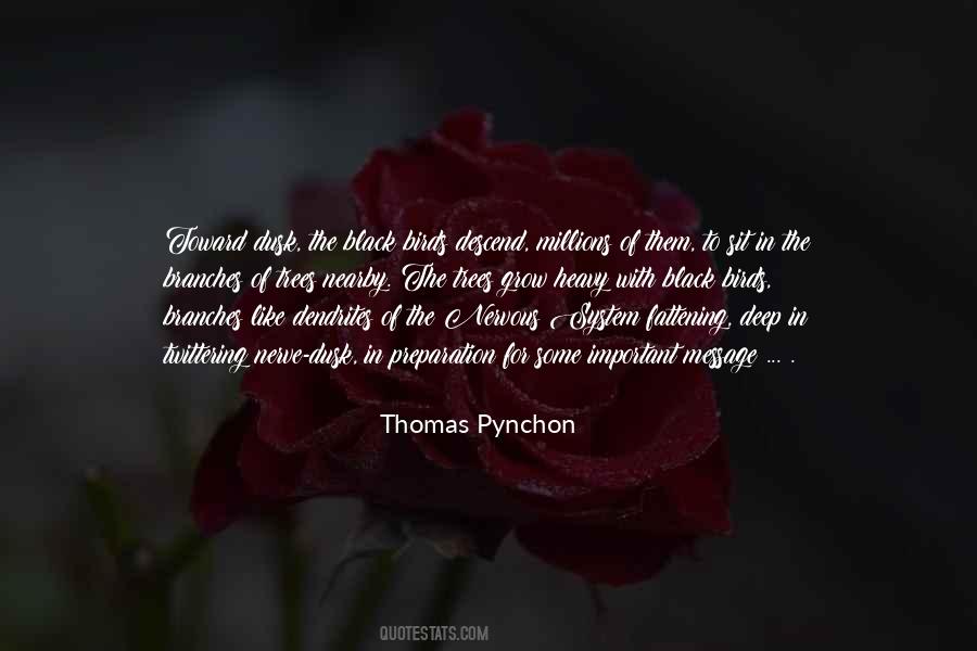 Quotes About Pynchon #13953