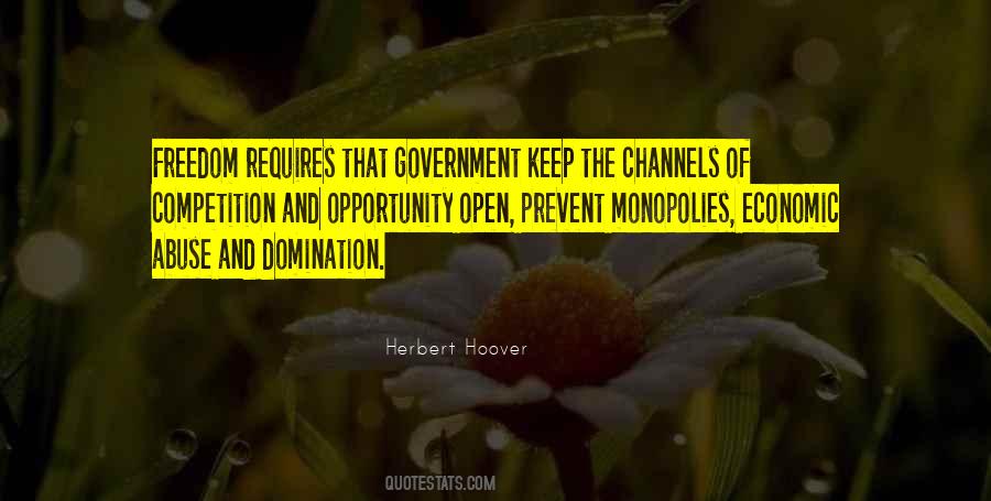 Government Abuse Quotes #1690655