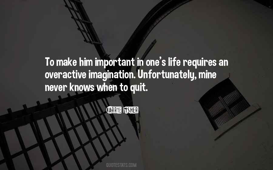 Never Quit Life Quotes #1008625