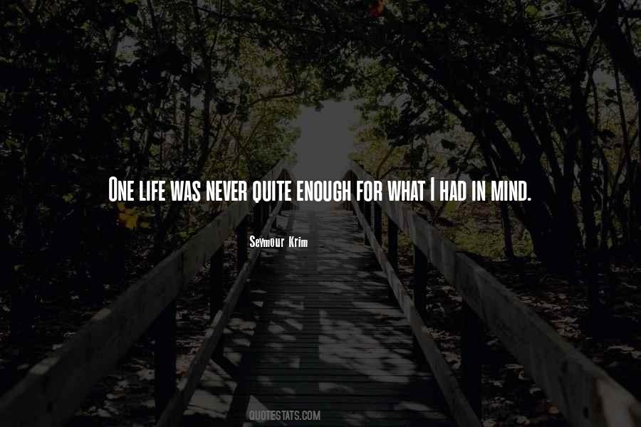 Never Quit Life Quotes #340959