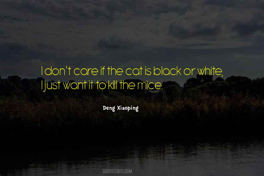 Black And White Cat Quotes #174241