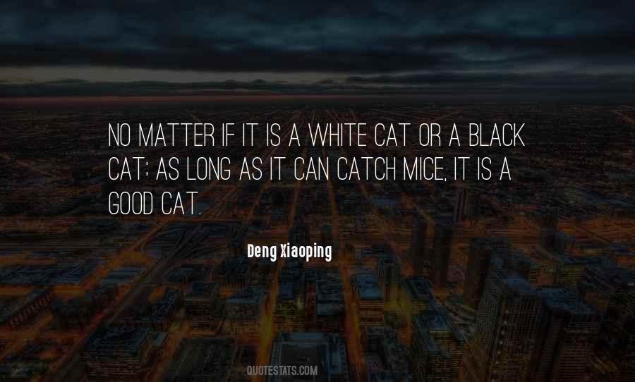 Black And White Cat Quotes #410672